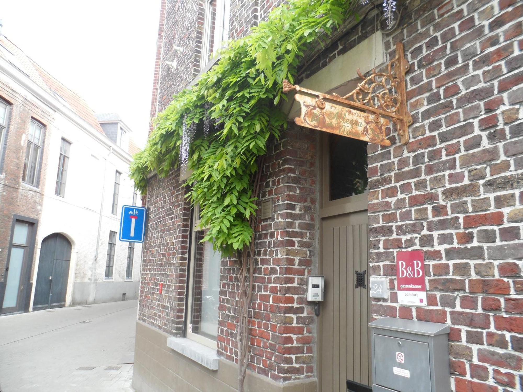 خنت B&B Allegra Nova الغرفة الصورة